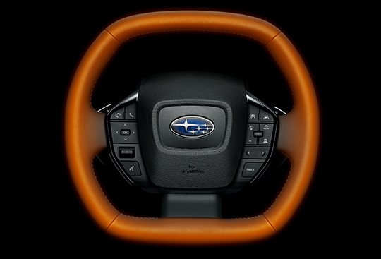 <sg-lang1>Steering Heater</sg-lang1><sg-lang2></sg-lang2><sg-lang3></sg-lang3>