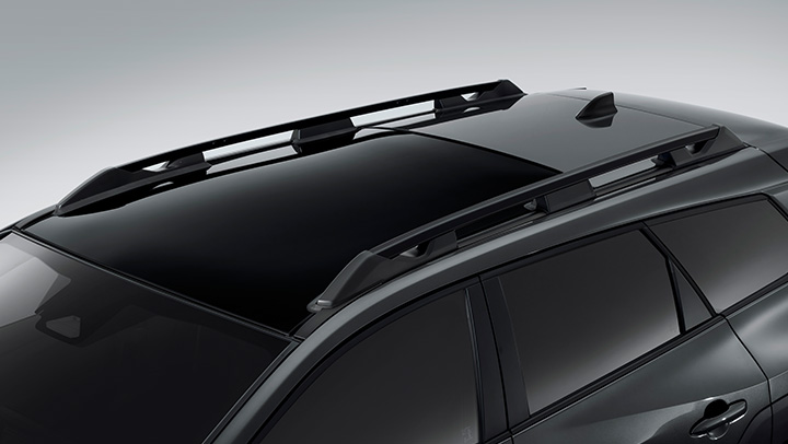 <sg-lang1>Ladder Type Roof Rails</sg-lang1><sg-lang2></sg-lang2><sg-lang3></sg-lang3>